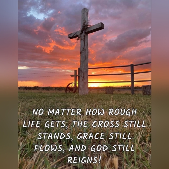 Meet your Posher, Debbie🔆Posh Ambassador🔆 - Picture 3 of 12